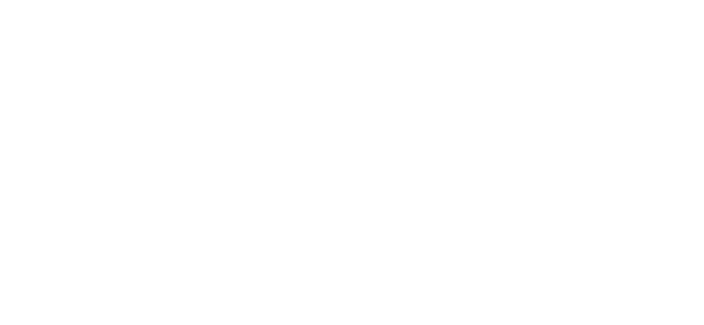 logo-salinaforyou-branco-300x